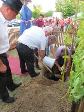 KNOBLEHARJEVO 2013 - 40LET DRUŠTVA VINOGRADNIKOV 8